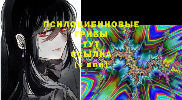 ECSTASY Абдулино