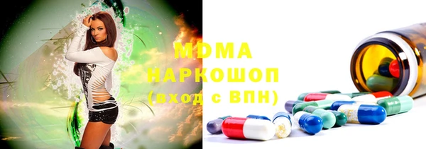 индика Гусев