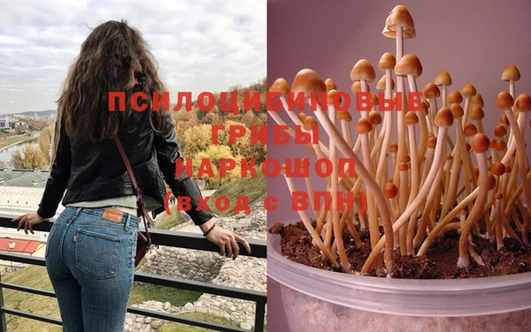 ECSTASY Абдулино