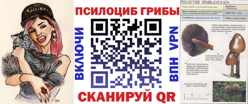 закладки  Миллерово  Галлюциногенные грибы Psilocybe 